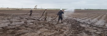 Soil and Water Remediation